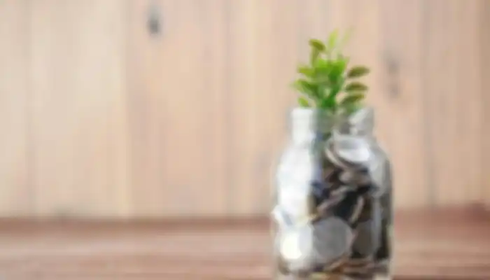 Jar of coins with a plant growing in it